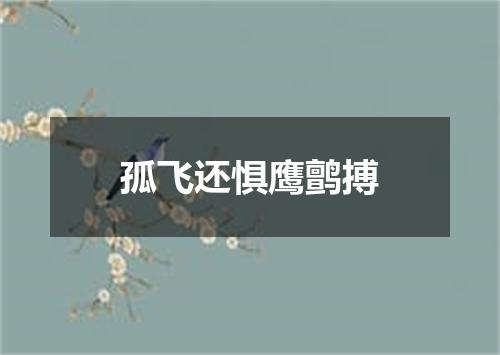 孤飞还惧鹰鹯搏