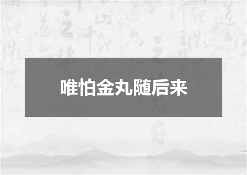 唯怕金丸随后来