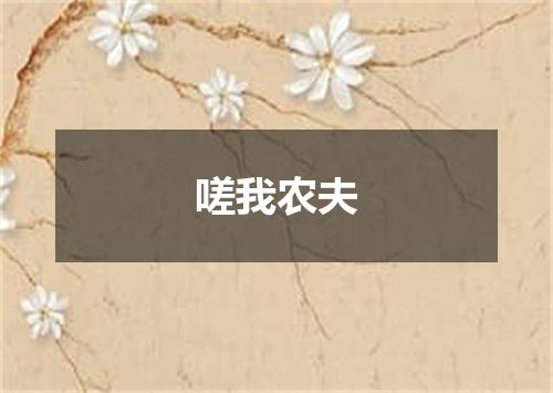 嗟我农夫