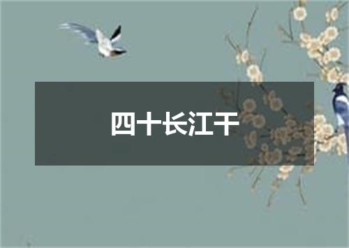 四十长江干