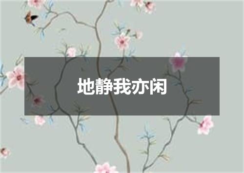 地静我亦闲