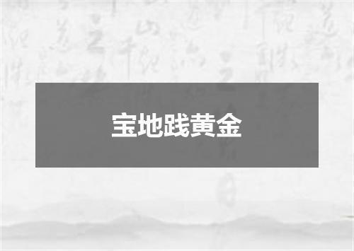 宝地践黄金