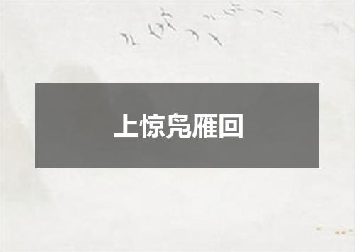 上惊凫雁回