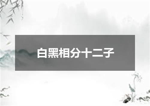 白黑相分十二子