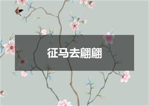征马去翩翩