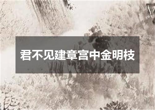 君不见建章宫中金明枝