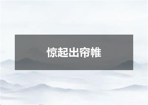 惊起出帘帷