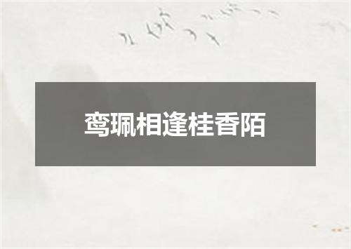 鸾珮相逢桂香陌