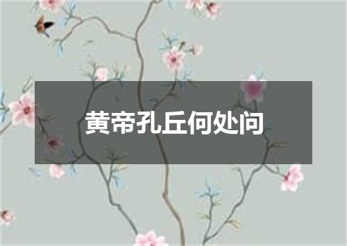 黄帝孔丘何处问