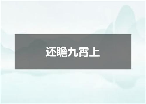 还瞻九霄上
