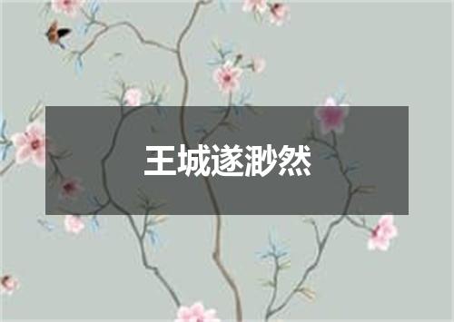 王城遂渺然