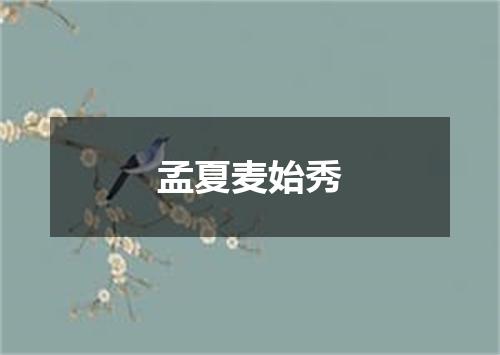 孟夏麦始秀