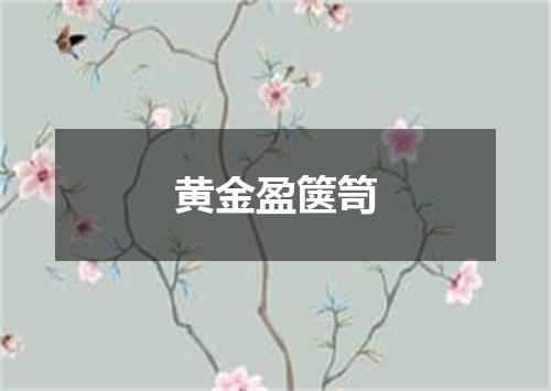 黄金盈箧笥