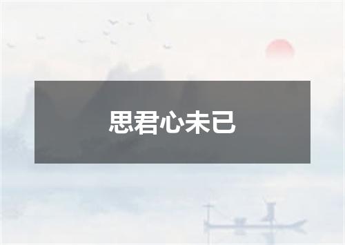 思君心未已