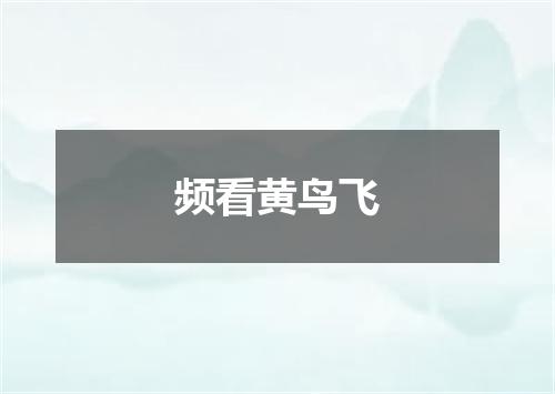 频看黄鸟飞