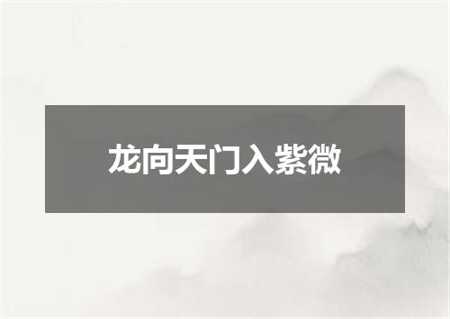 龙向天门入紫微