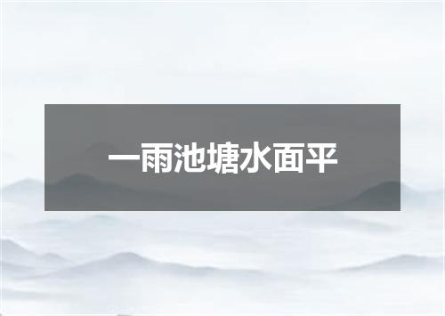 一雨池塘水面平