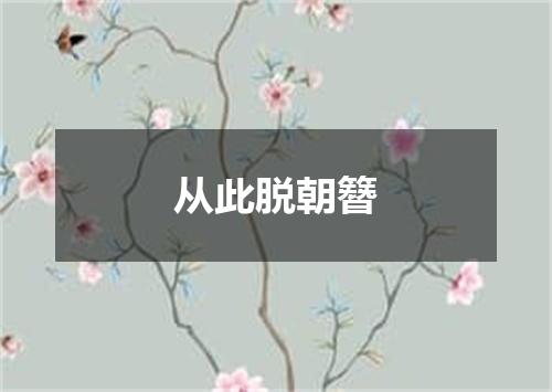 从此脱朝簪