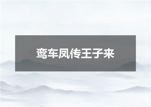 鸾车凤传王子来