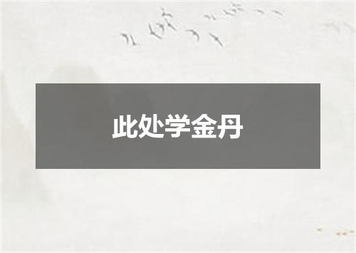 此处学金丹