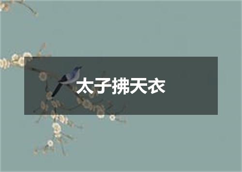 太子拂天衣