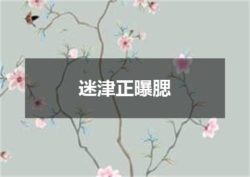 迷津正曝腮