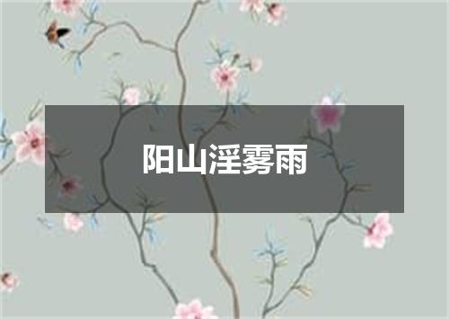 阳山淫雾雨