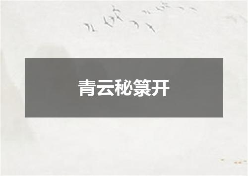 青云秘箓开