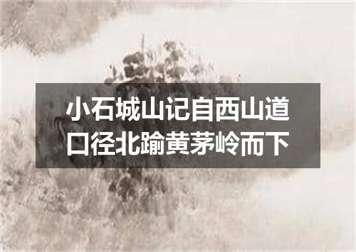 小石城山记自西山道口径北踰黄茅岭而下