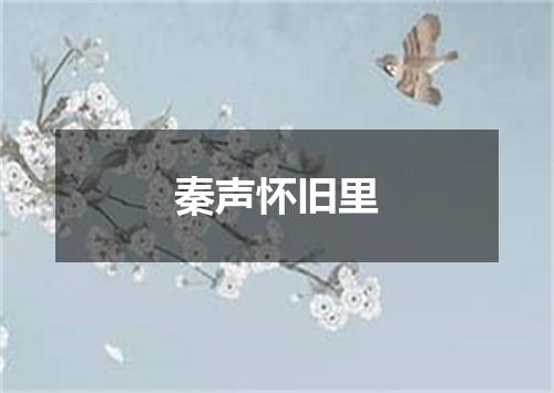 秦声怀旧里