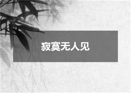 寂寞无人见