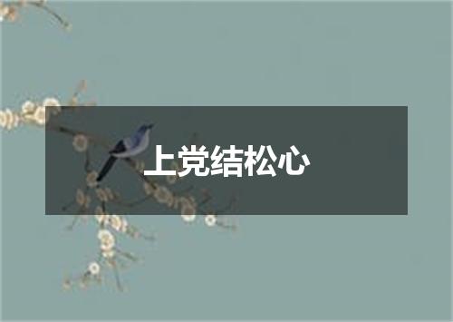 上党结松心