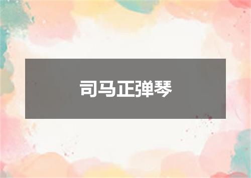 司马正弹琴