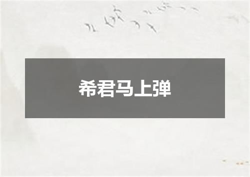 希君马上弹