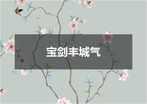 宝剑丰城气