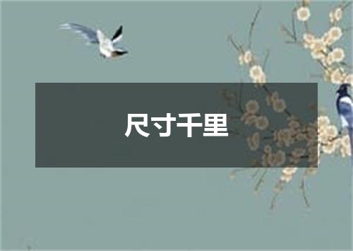 尺寸千里