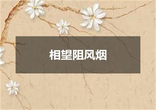 相望阻风烟