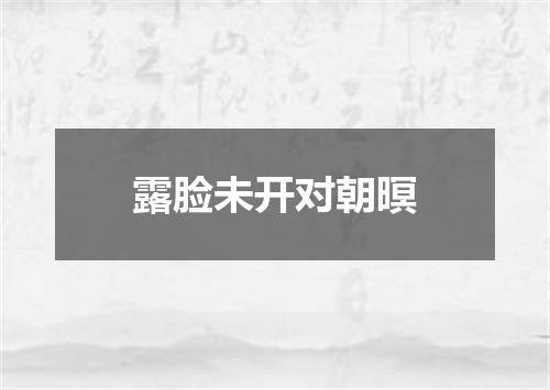 露脸未开对朝暝