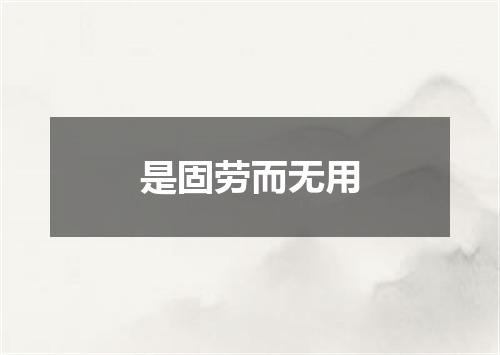 是固劳而无用