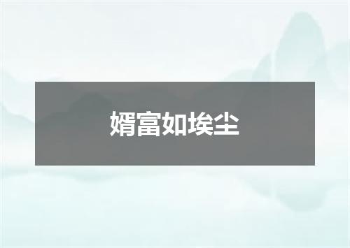婿富如埃尘