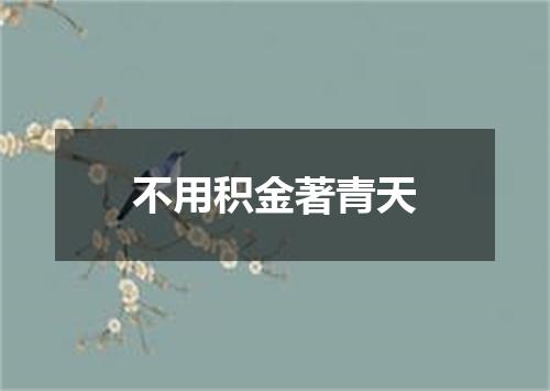 不用积金著青天