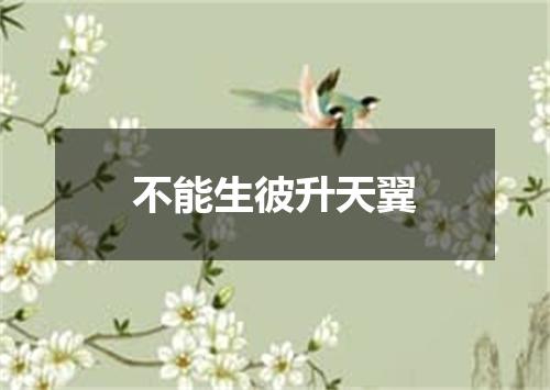 不能生彼升天翼