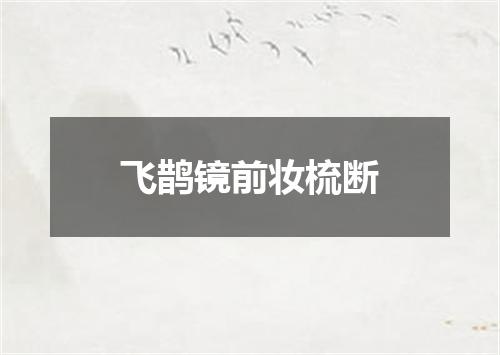 飞鹊镜前妆梳断