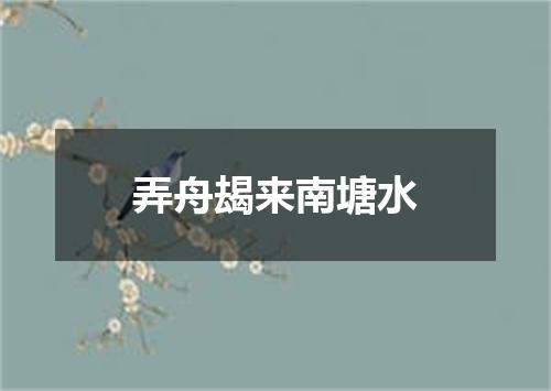 弄舟朅来南塘水