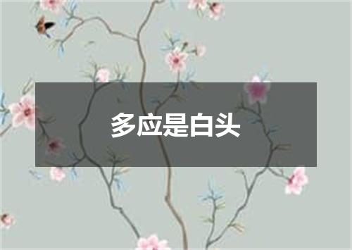 多应是白头