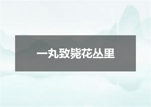 一丸致毙花丛里