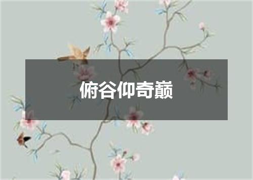 俯谷仰奇巅