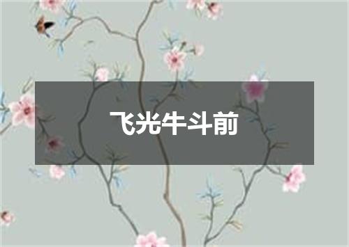飞光牛斗前