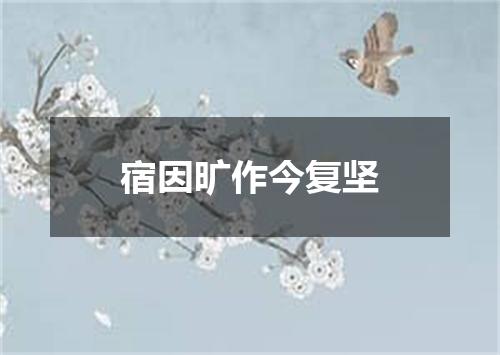 宿因旷作今复坚