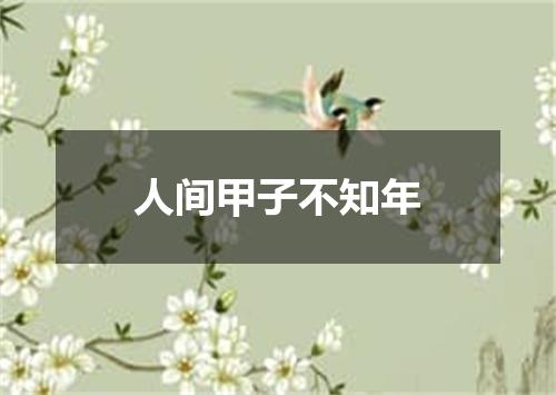 人间甲子不知年